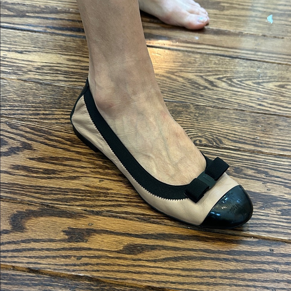 Salvatore Ferragamo Black and Tan Ballet Flats